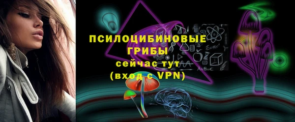 метадон Инсар