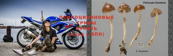 метадон Инсар