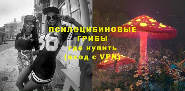 метадон Инсар