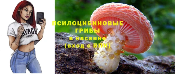 метадон Инсар