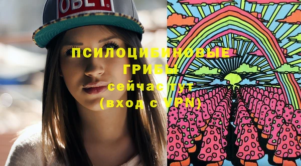 метадон Инсар